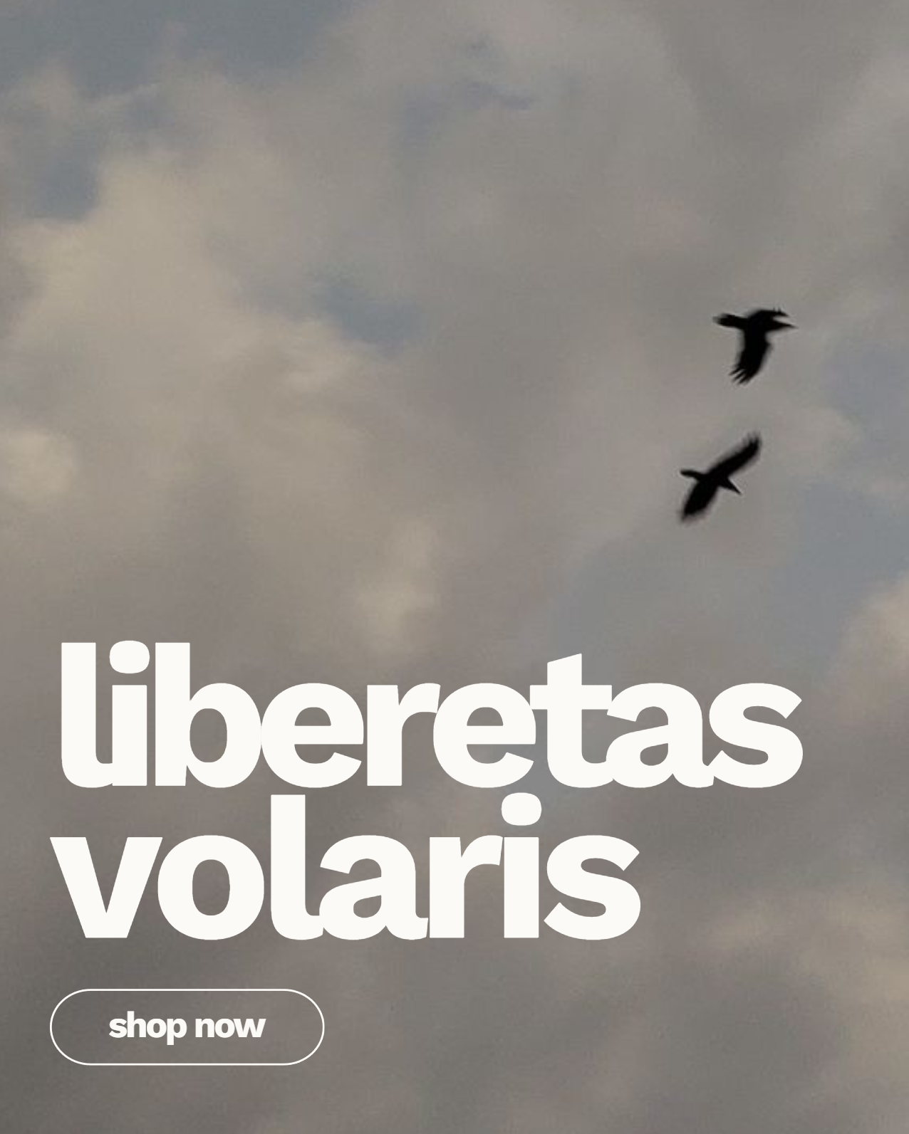 libertas volaris