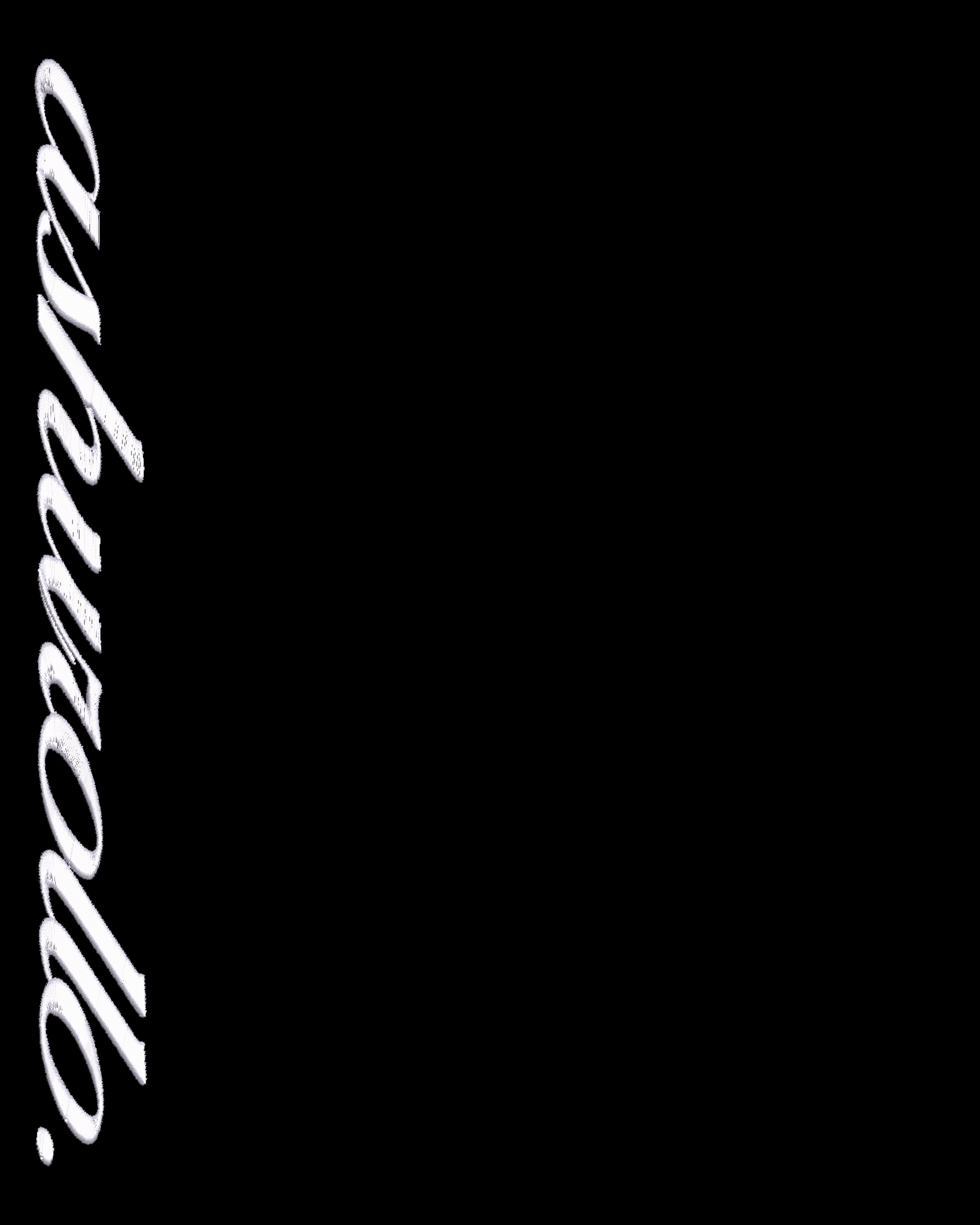 Camiseta Scuderia Veloce Negra